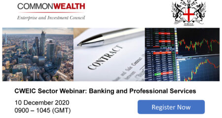 Banking and Professional Services Webinar