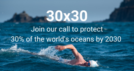 Ocean 30×30 Call for Action Webinar