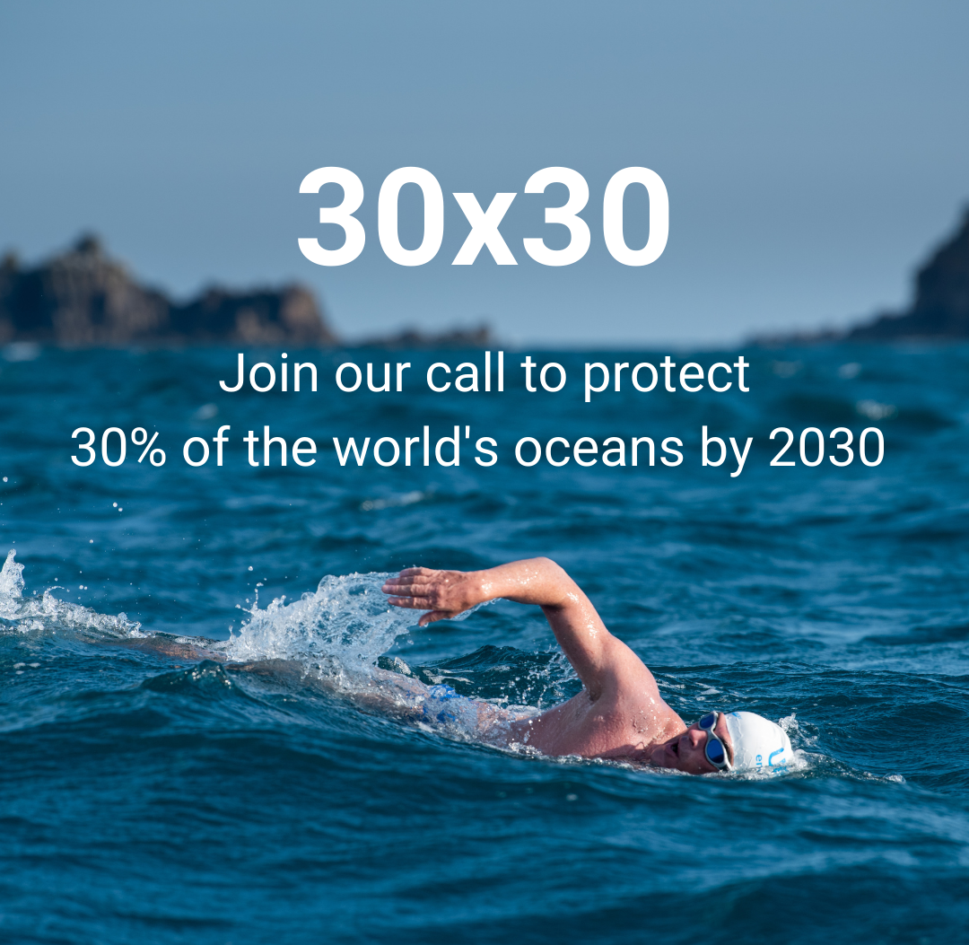 Ocean 30×30 Call for Action Webinar