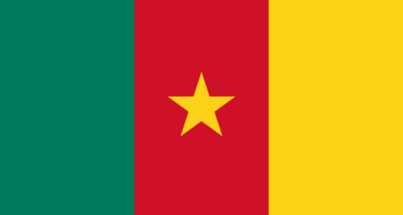 The Cameroon Investment Promotion Agency (CIPA) Joins CWEIC as a Strategic Partner
