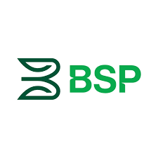 BSP Financial Group BSP Financial Group